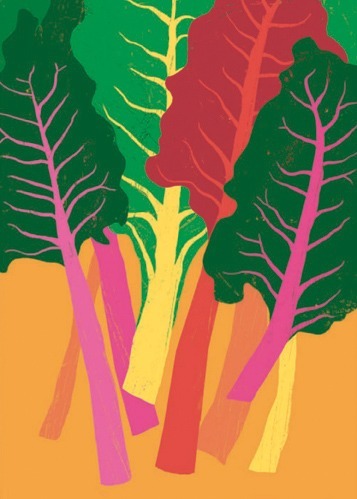 Rainbow Chard
