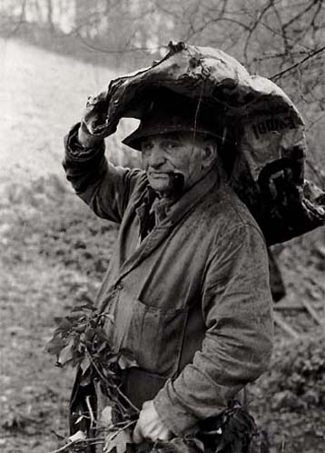 Archie Parkhouse gathering Ivy