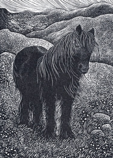 Fell Pony