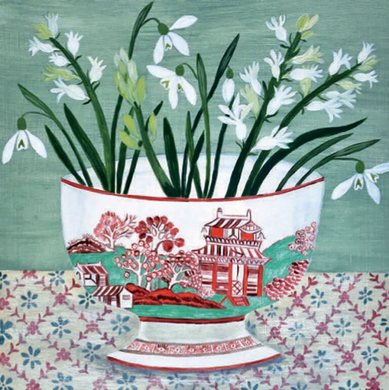 AGBI CHRISTMAS CARD PACK - Snowdrops in Bowl