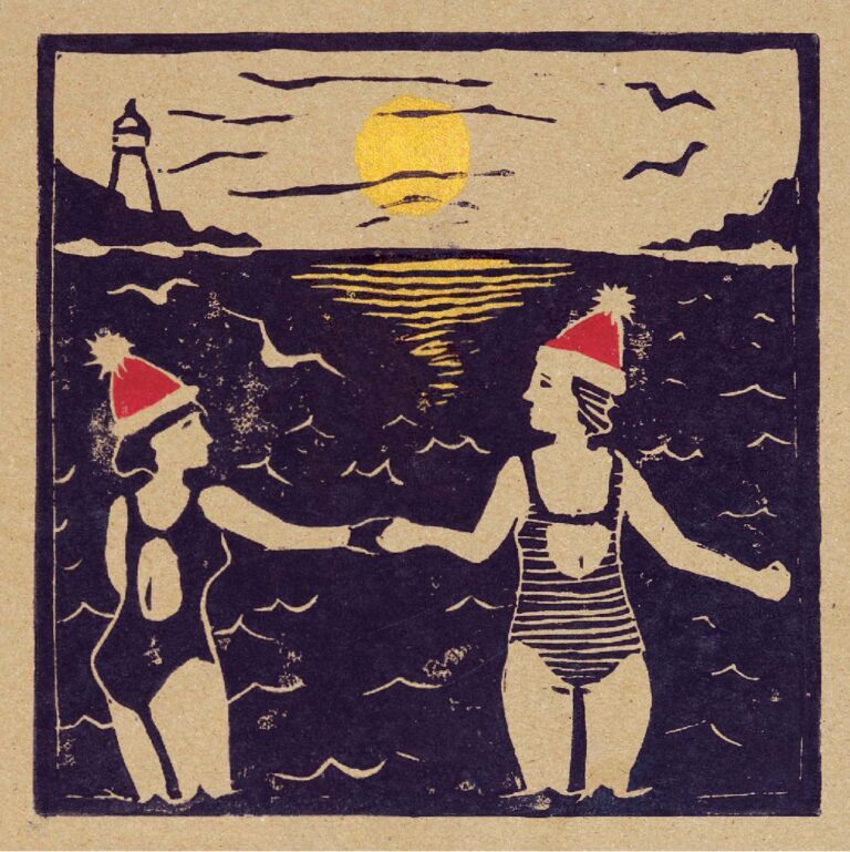 AGBI CHRISTMAS CARD PACK - Wild Swimmers