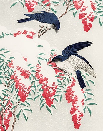 AGBI CHRISTMAS CARD PACK - Flycatchers on Snow-covered Nandina