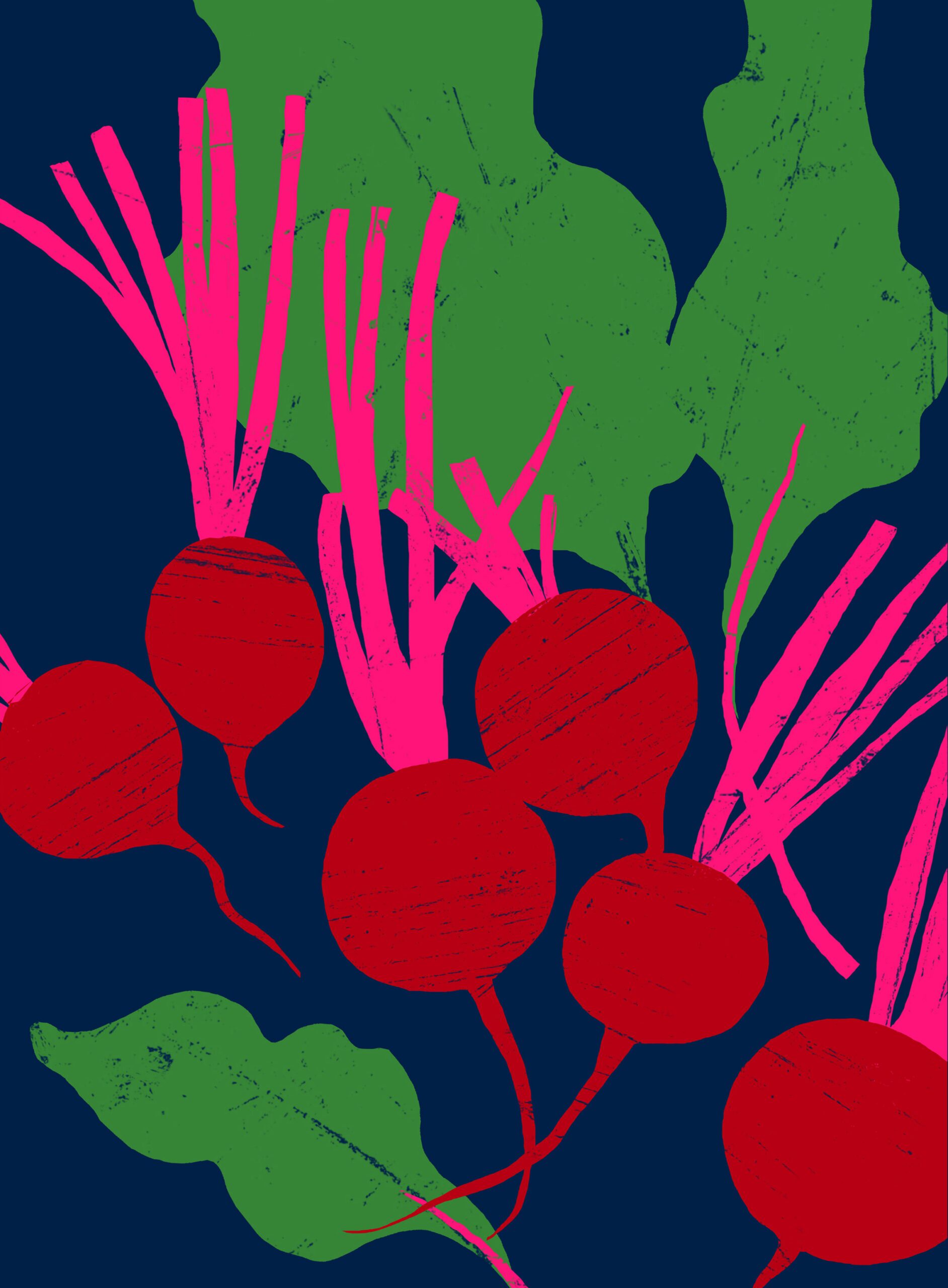 Beetroot 2 Beetroot Beetroot - Image 2