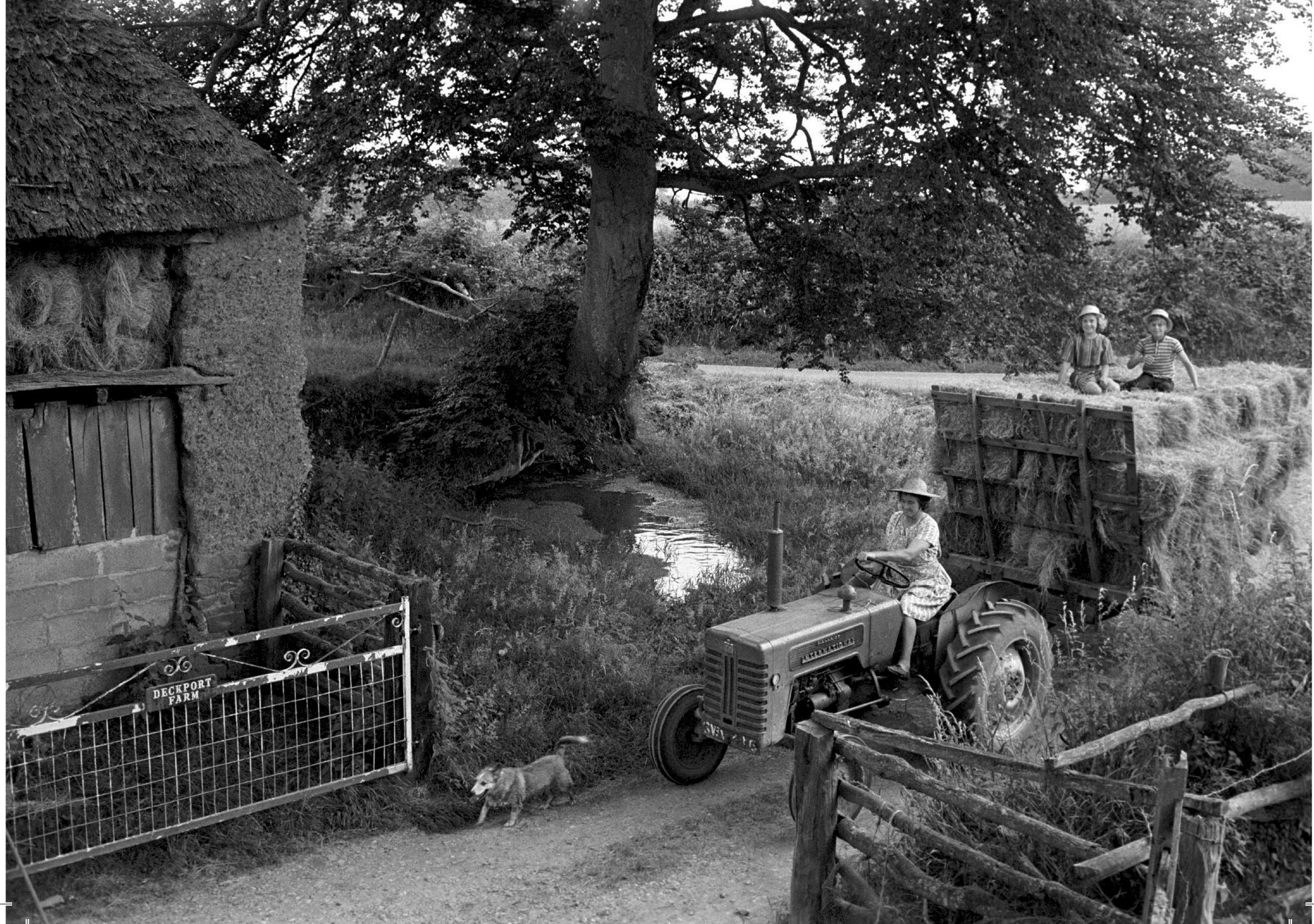 Haymaking, Hatherleigh, 1977 1 Haymaking, Hatherleigh, 1977 Haymaking, Hatherleigh, 1977