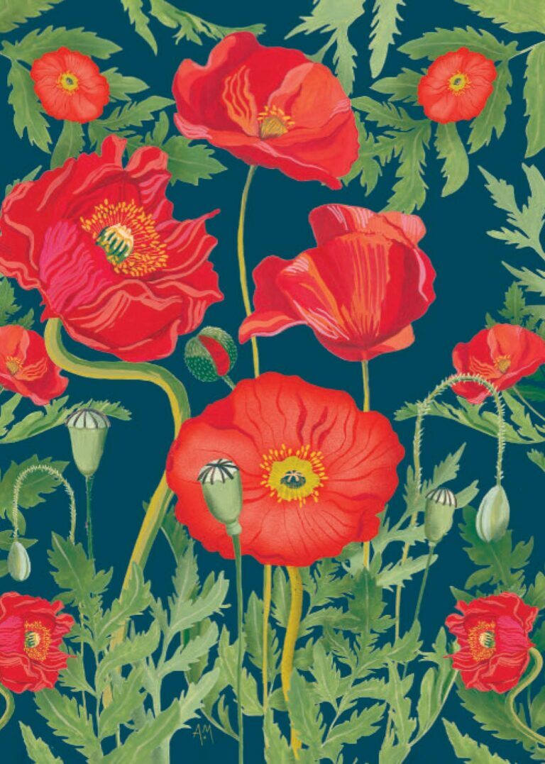 Poppies
