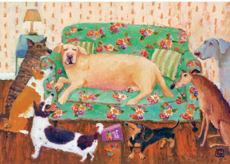 Sofa Surfer