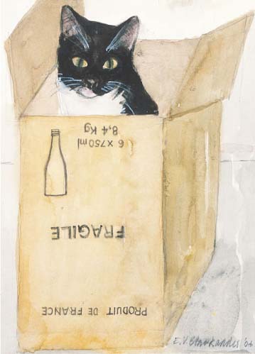 Cat in a Box