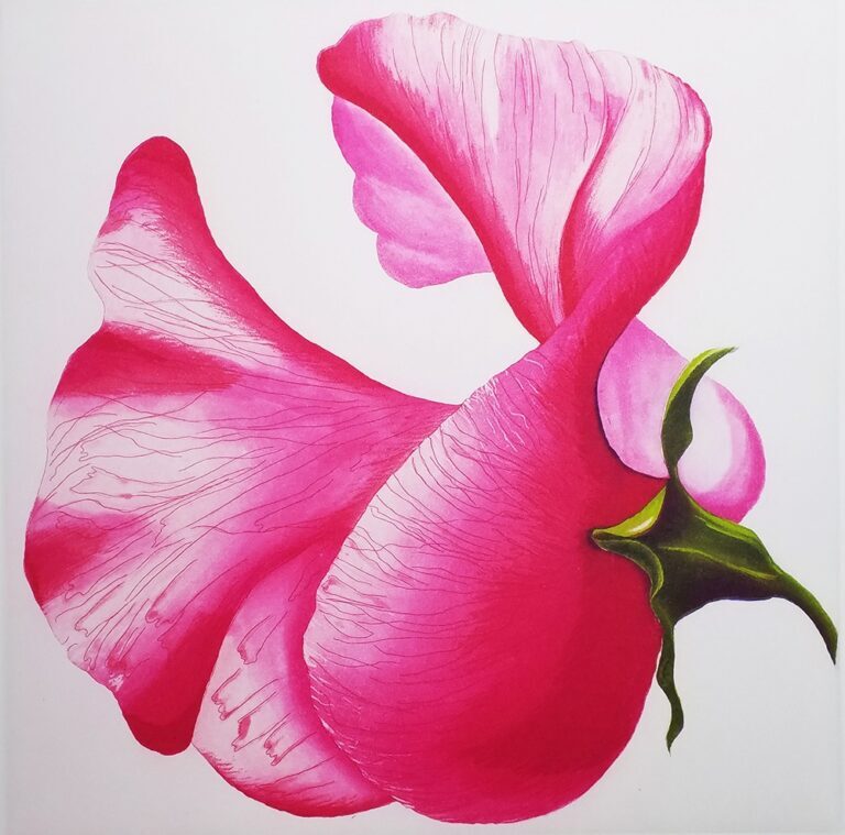 Petal Sweep