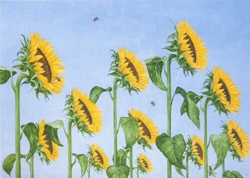 The Sun Worshippers