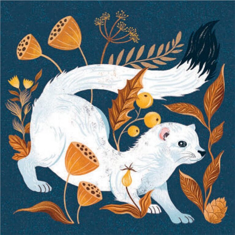 Ermine