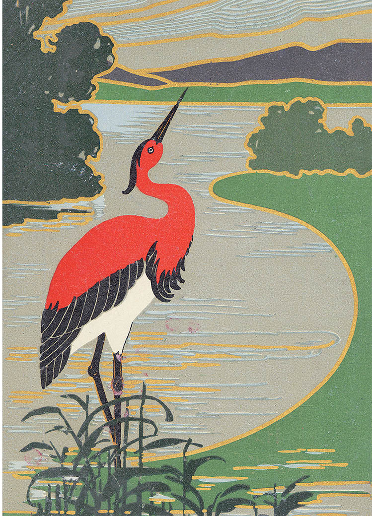 Heron in the Water