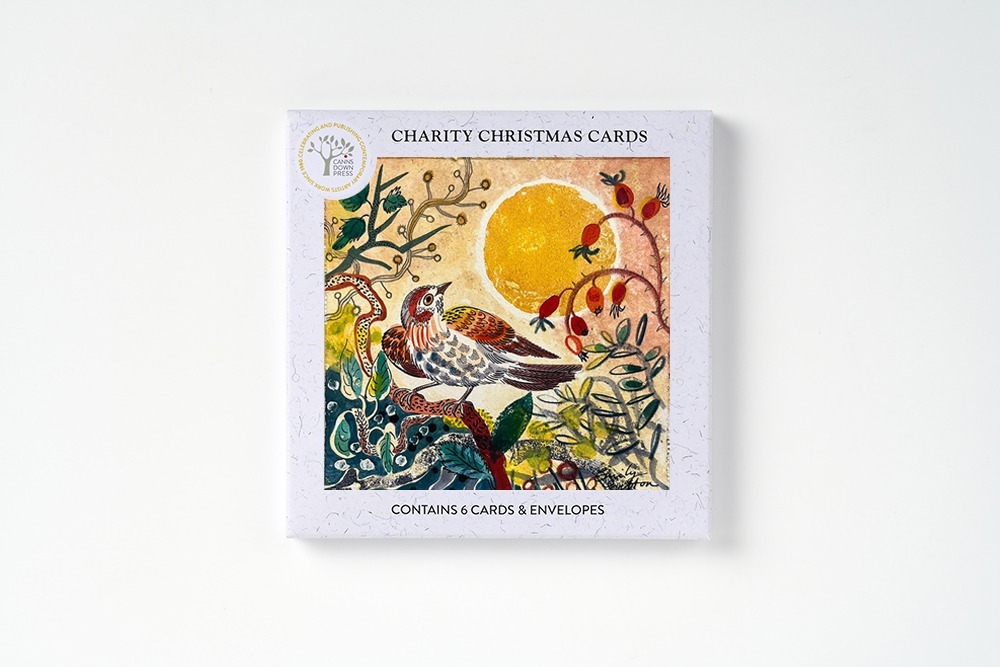 AGBI CHRISTMAS CARD PACK - Finch and Berries 2 AGBI CHRISTMAS CARD PACK - Finch and Berries AGBI CHRISTMAS CARD PACK - Finch and Berries - Image 2