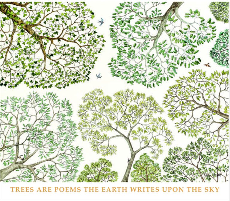 Every Tree is a Poem