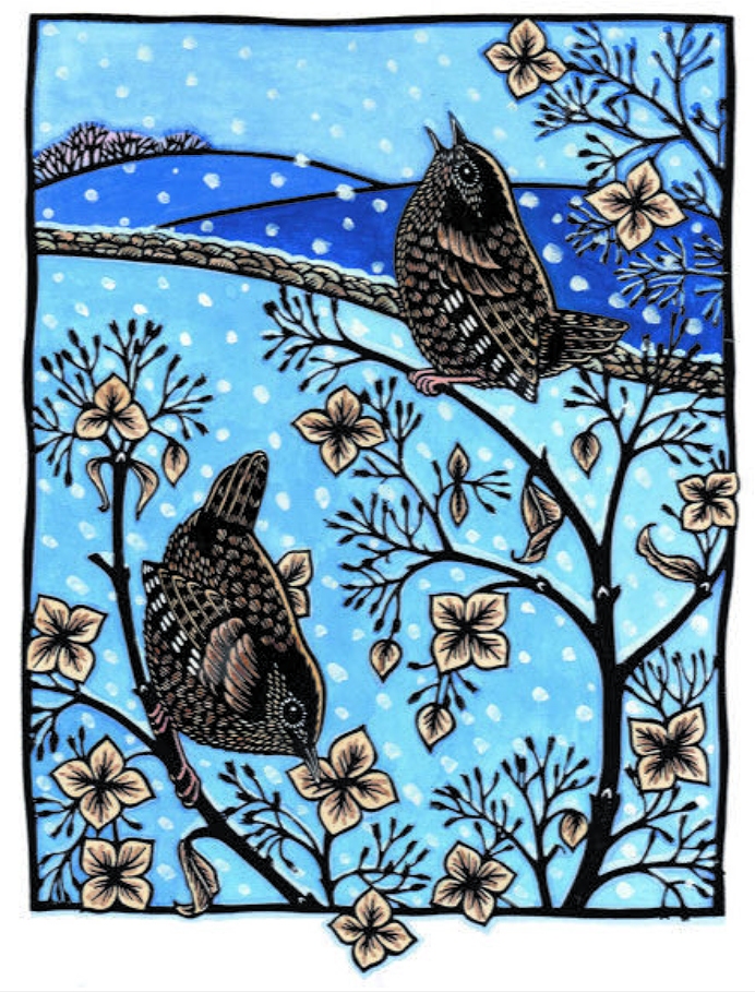 AGBI CHRISTMAS CARD PACK - Winter Wren