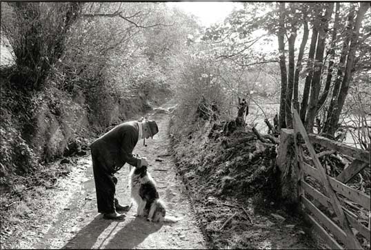 Archie Parkhouse and his dog Sally, Millhams, Dolton, Devon, 1982